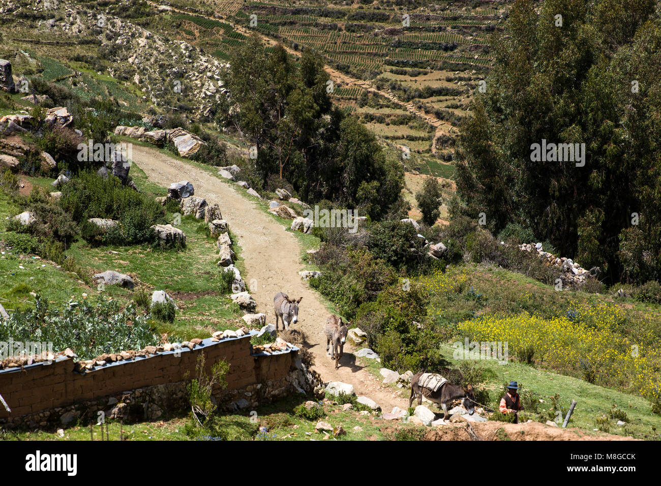 Isla del Sol sul lago Titicaca in Bolivia. È la più grande isola in alta altitudine lago Titicaca Foto Stock