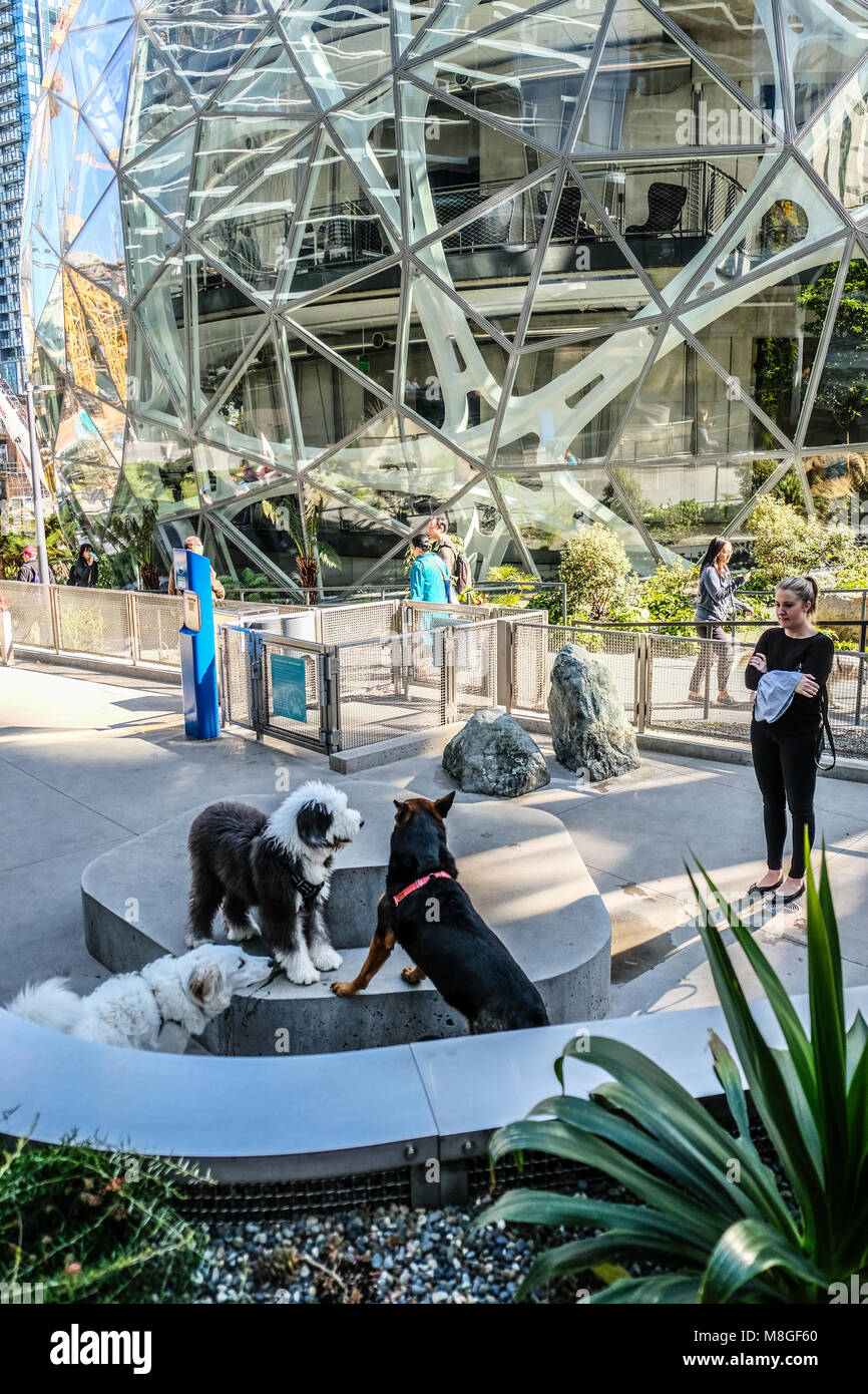 Amazon i lavoratori dipendenti e i loro cani al cane di parcheggiare di fronte la cupola di vetro e sfere in Amazzonia sede nel centro cittadino di Seattle Foto Stock