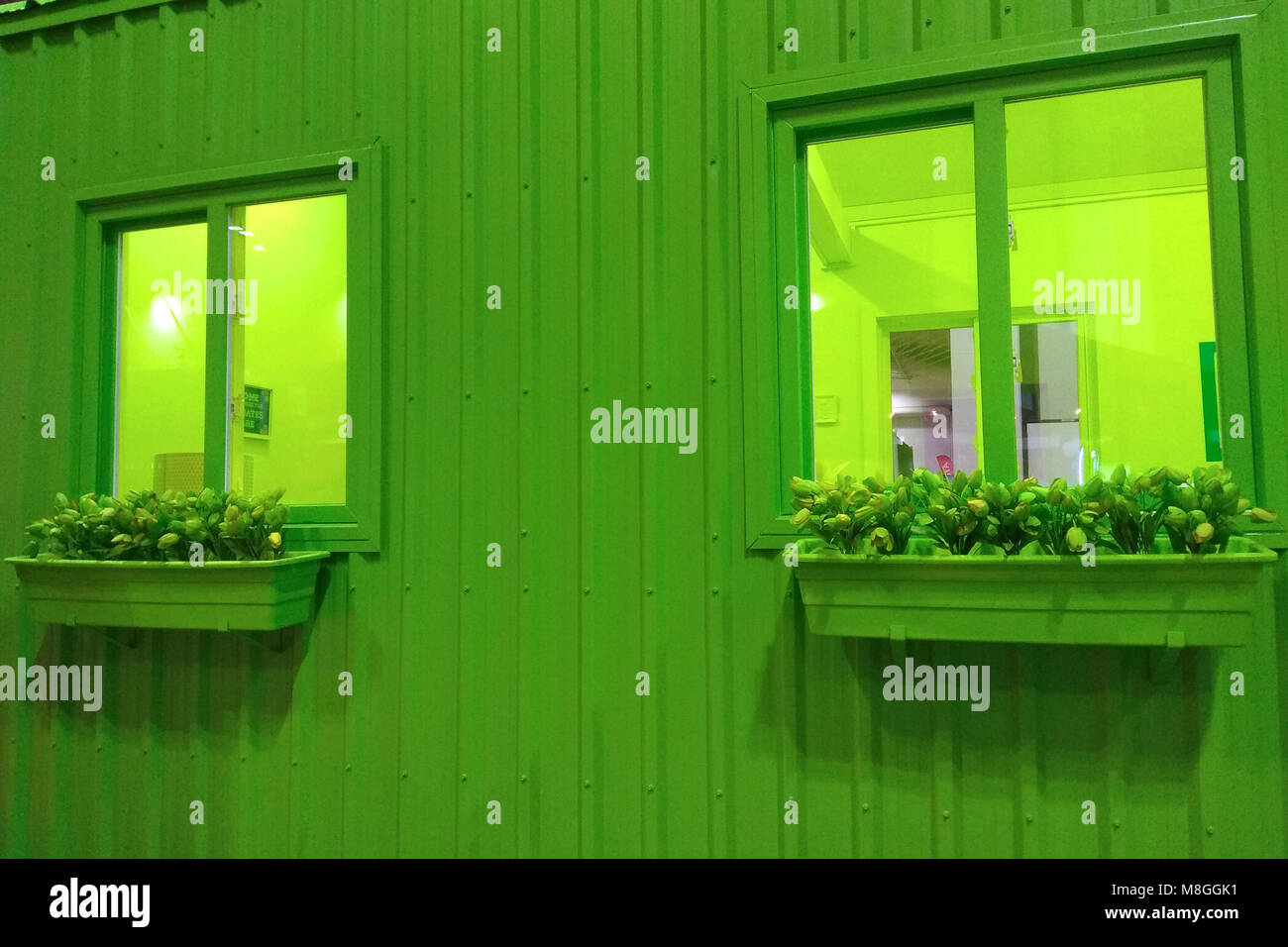 Casa verde - concetto di ambiente verde Foto Stock