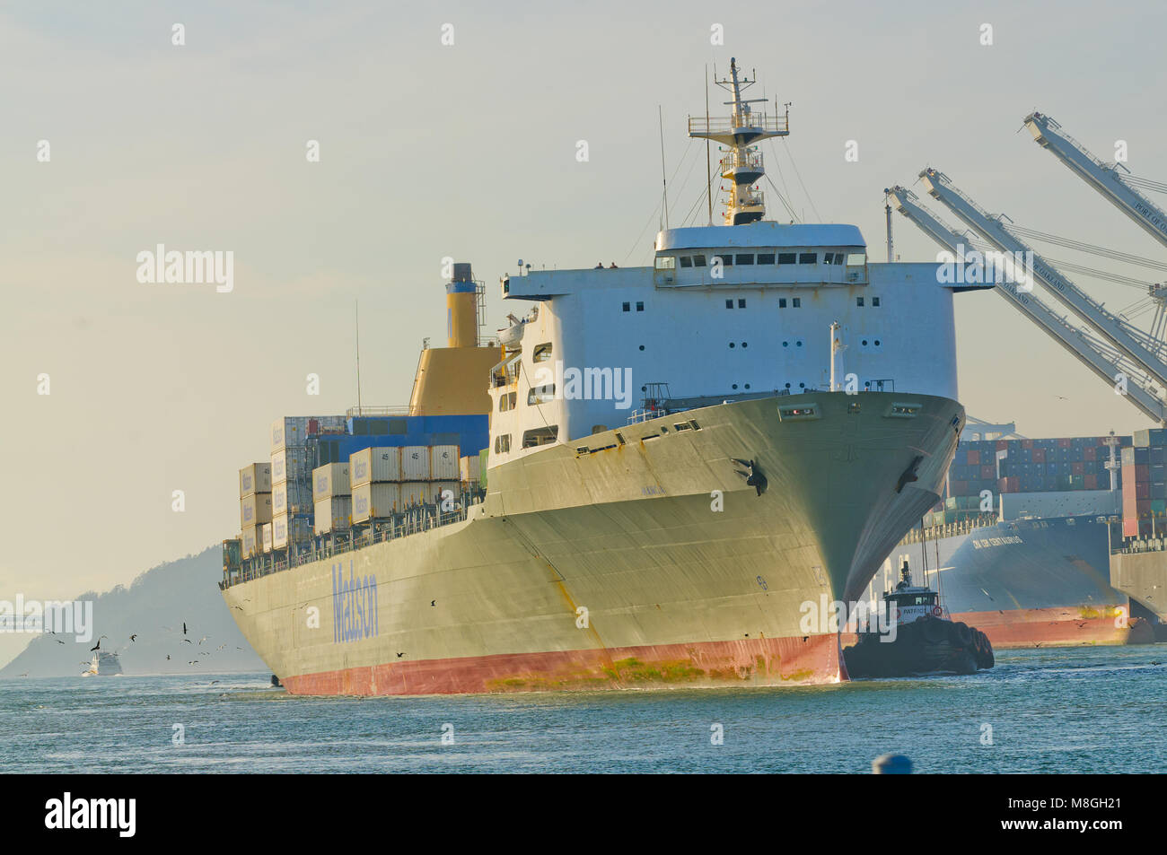 Alameda, CA - Marzo 9, 2015: contenitore di Oakland, in cantiere la Baia di San Francisco il contenitore Matson nave 'MANOA' entrando in porto e la manovra in dock Foto Stock