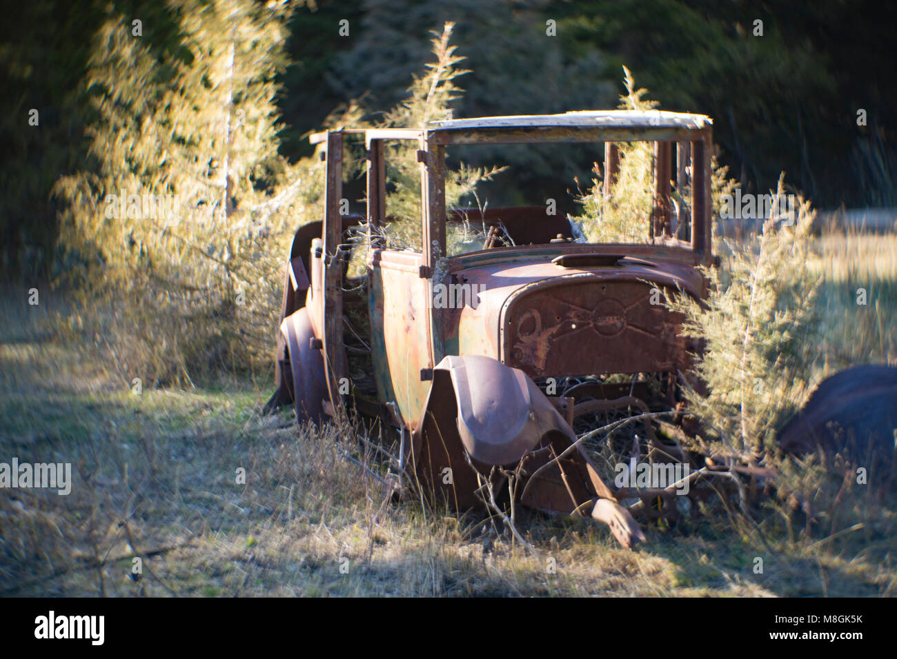 Un 1925 Dodge fratelli modello 116 serie berlina 4 porte a Joe Hanks miniera, in Giovanni lungo montagne, a ovest di Maxeville, Montana. Foto Stock