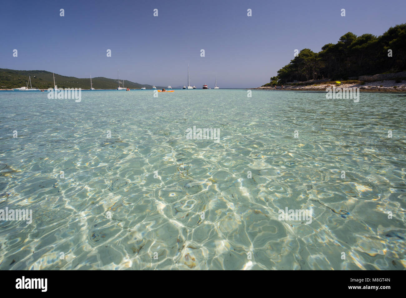 Popolare spiaggia Saharun sull isola di Dugi Otok in Dalmazia, Croazia Foto Stock