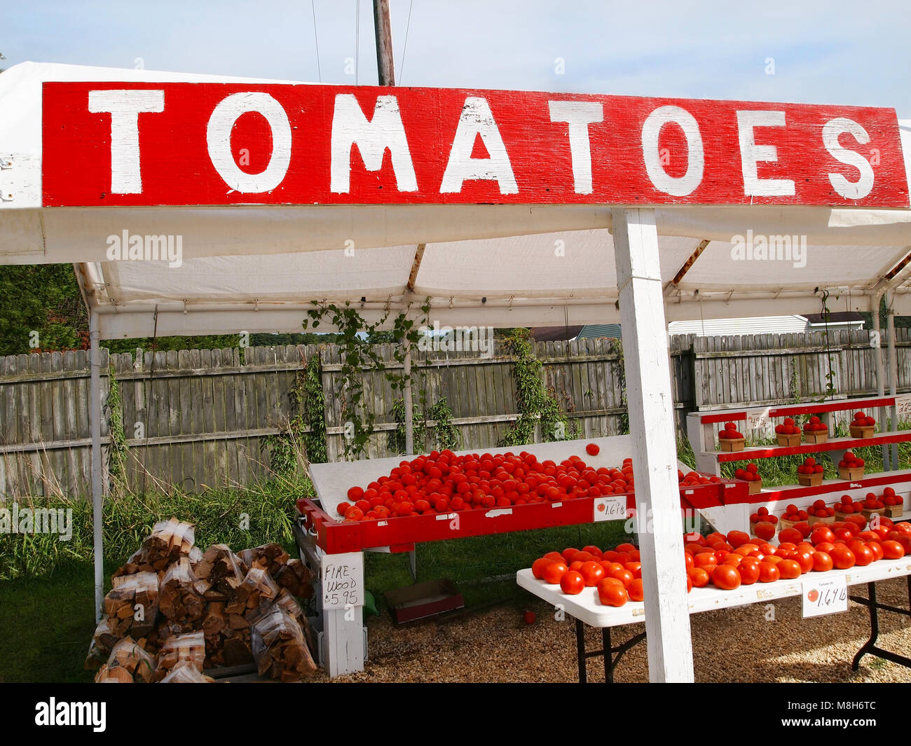 Una campagna stand vegetali vende pomodori freschi da una vicina Fattoria sulla luminosa giornata estiva in America rurale. Foto Stock