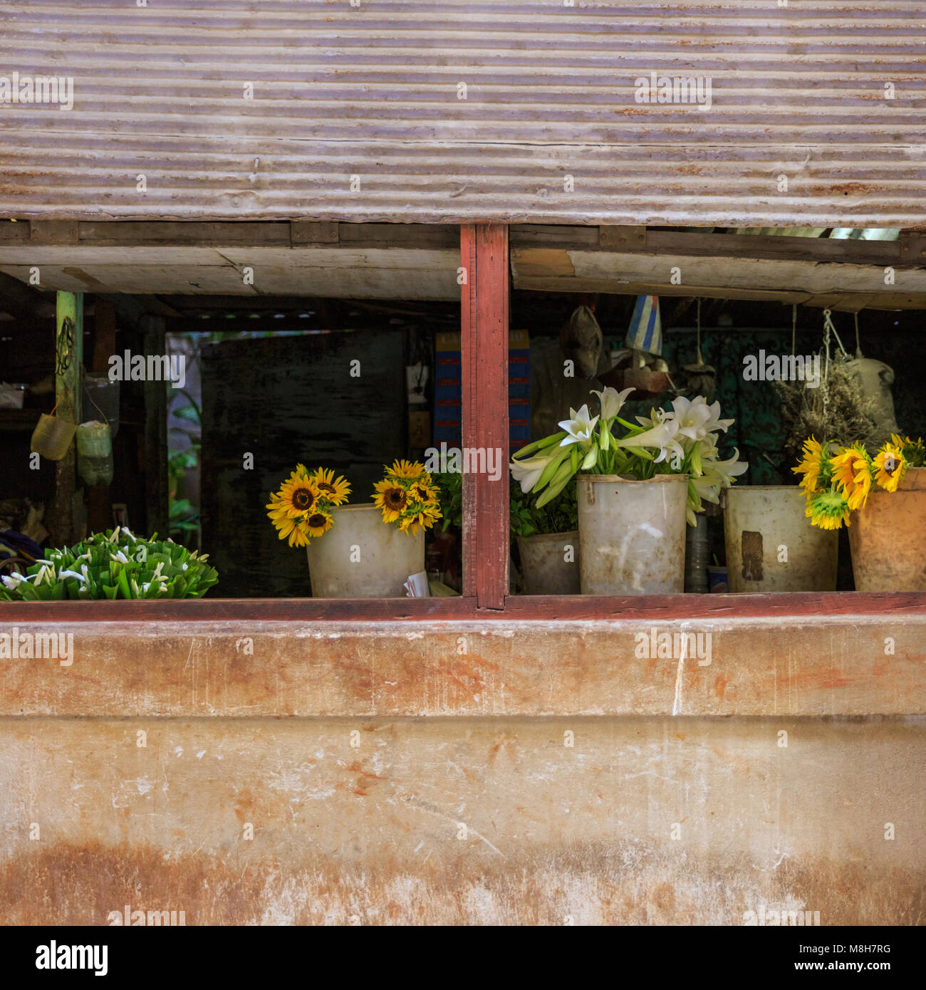 Fiori in vetro, Old Havana, Cuba Foto Stock