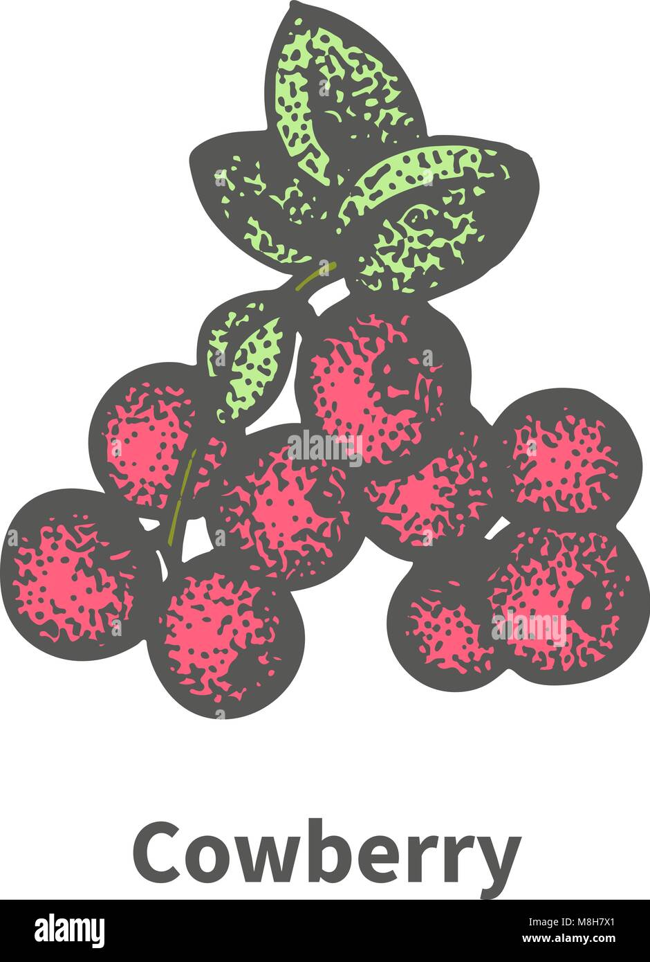 Illustrazione Vettoriale mazzetto di maturazione cowberry rosso Illustrazione Vettoriale