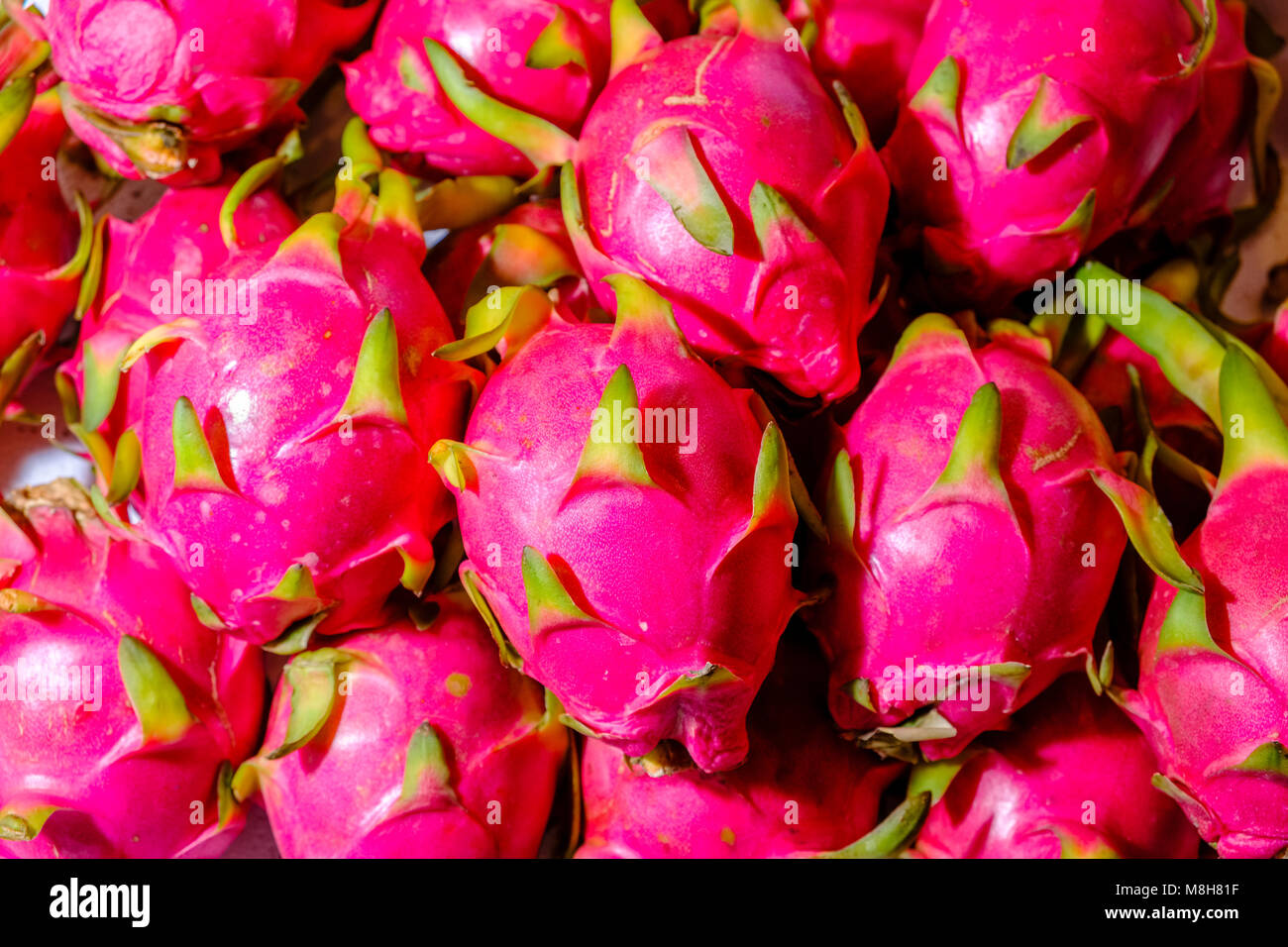 Drago freschi frutti sono in vendita al mercato di Nonthaburi Foto Stock