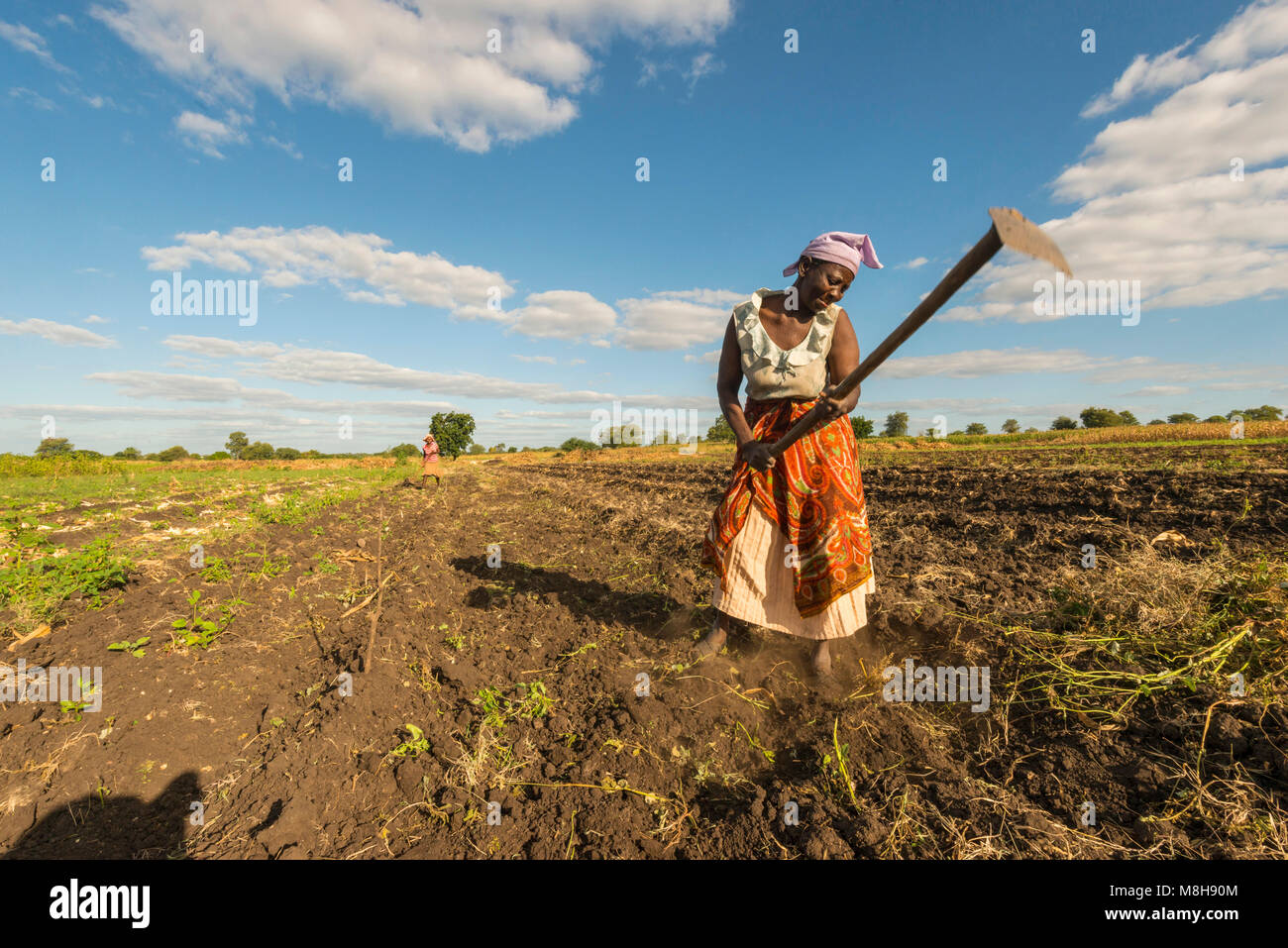 Donna arare un campo con le zappe in Zimbabwe. Foto Stock