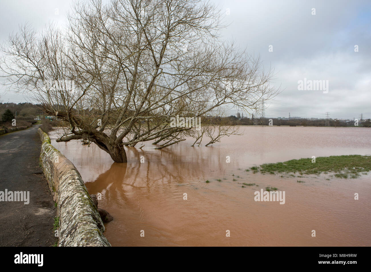 Campi allagati vicino Clyst St Mary, Devon. Foto Stock