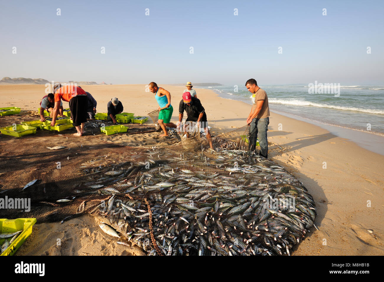I pescatori operanti nella luce del mattino. Areao beach. Vagos, Portogallo Foto Stock