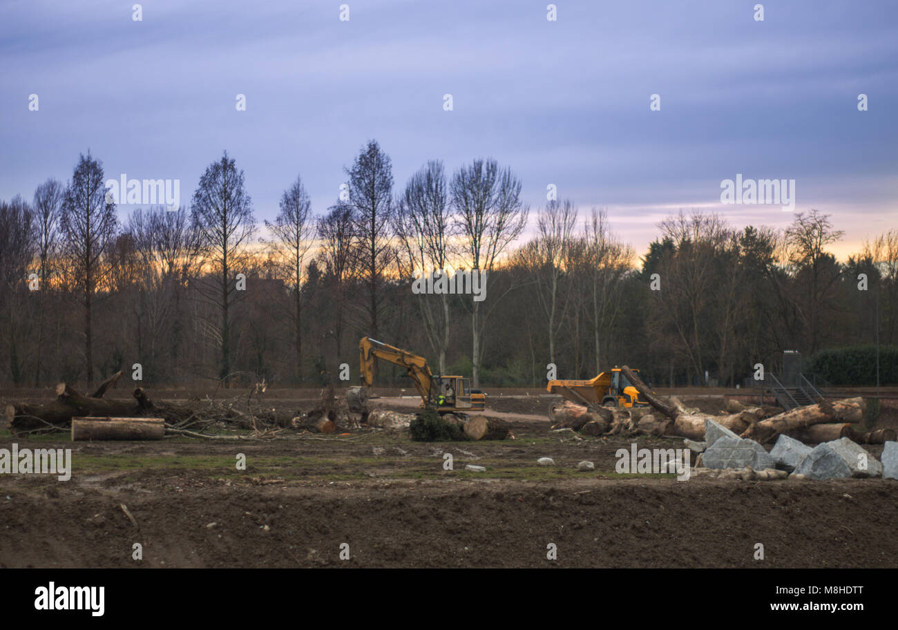 Distruzione di una foresta da mezzi meccanici nella luce del tramonto Foto Stock