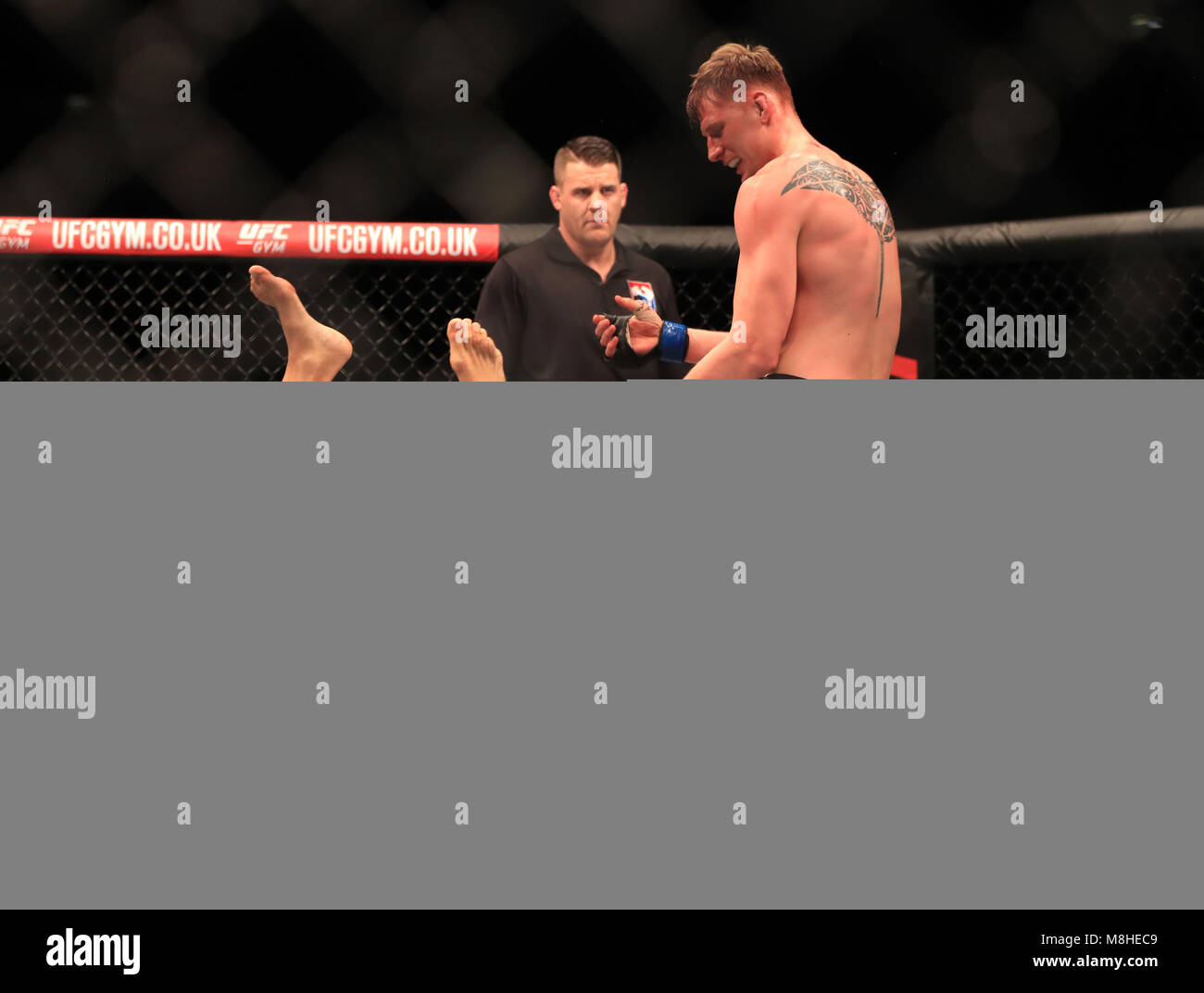 Fabricio Werdum (sinistra) e Alexander Volkov in azione durante la loro lotta pesante all'O2 Arena, Londra. Foto Stock