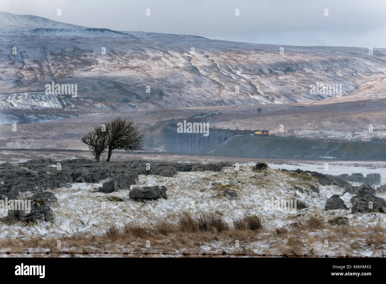 Neve in Yorkshire Dales National Park, Regno Unito. Un treno merci che trasportano i log per il Galles del Nord attraversa il viadotto Ribblehead, North Yorkshire, come una bufera di neve si chiude. Dopo alcuni minuti la vista del viadotto è stata cancellata dalle condizioni meteorologiche. Credito: John Bentley/Alamy Live News Foto Stock