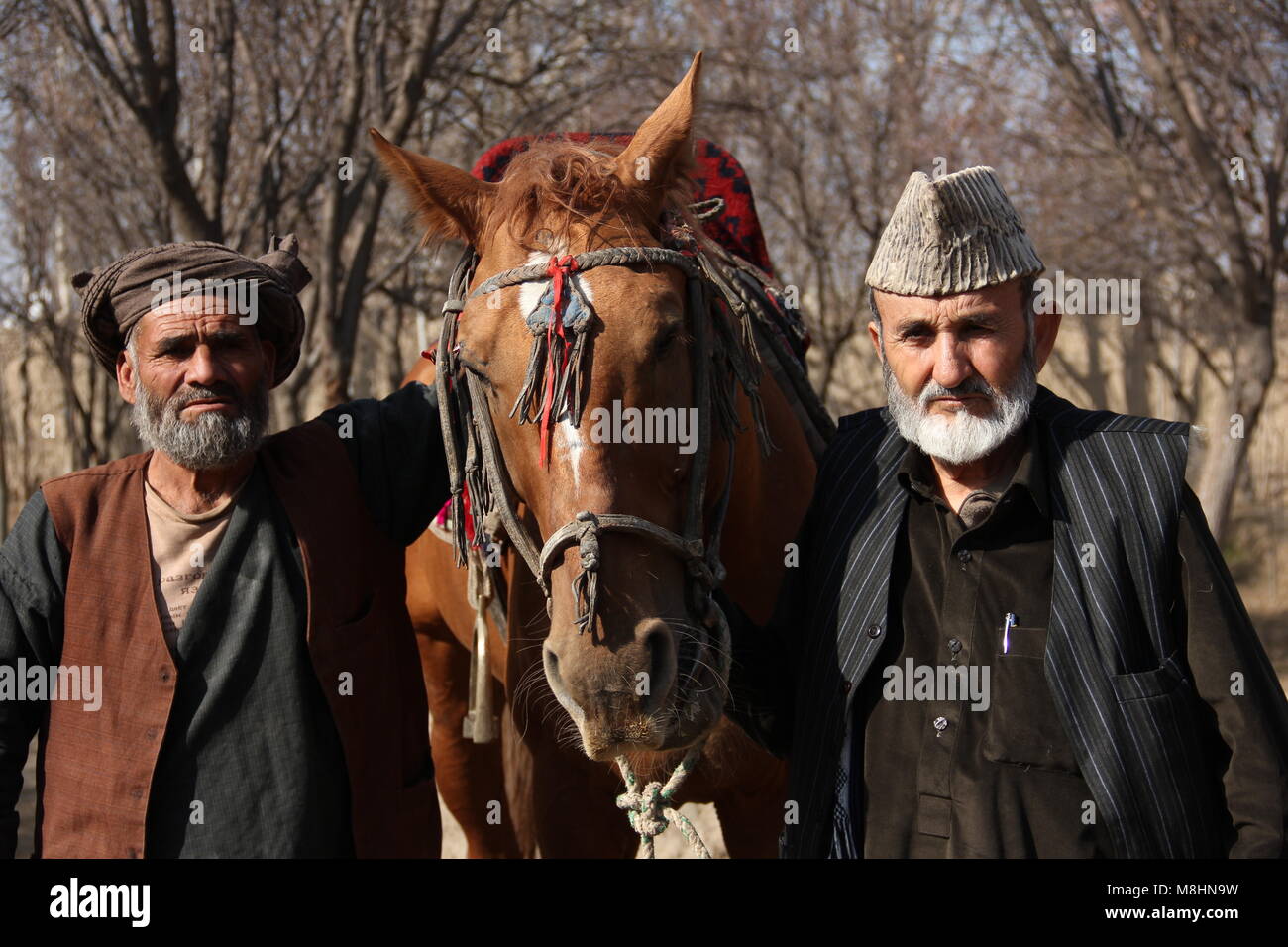 23 febbraio 2018, l'Afghanistan, a Mazar-i-Sharif: Hadshi Sharif Salahi (R), presidente della giunta regionale di Buzkashi league in Afghanistan settentrionale, presenta uno dei suoi tre cavalli Buzkashi che custodisce nel suo frutteto. Salahi è un trasportatore e commerciante di fiori ed è uno dei più grandi sostenitori del buzkashi sport nel nord dell'Afghanistan. Buzkashi letteralmente significa "tirando capra e è un tipo arcaico di polo utilizzando una capra decapitato o vitello come un match ball. Foto: Christine-Felice Röhrs/dpa Foto Stock