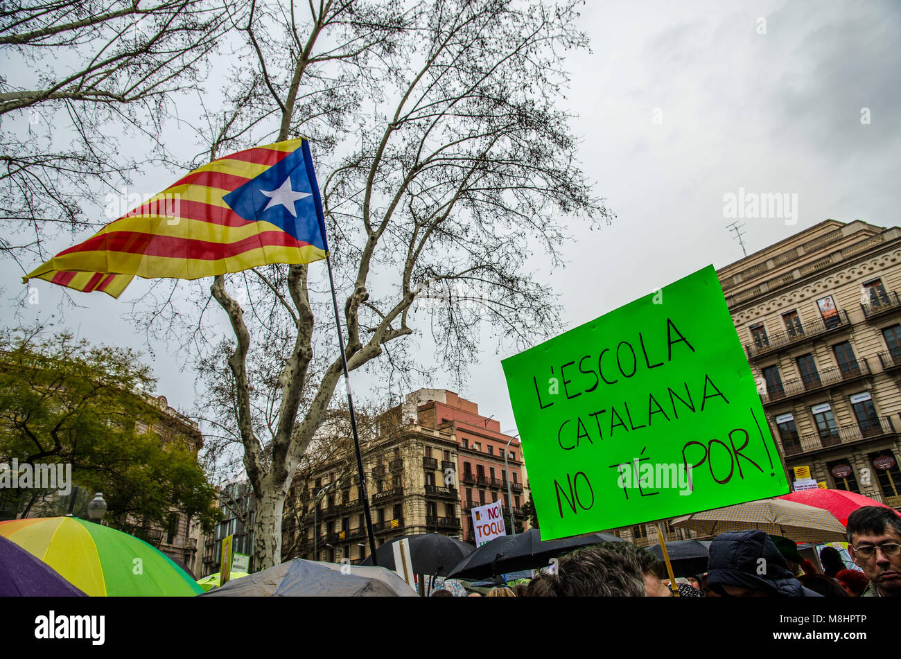 Bandiere catalano, dimostrazione Promozione della lingua catalana nelle  Isole Baleari, Palma di Maiorca, SPAGNA Foto stock - Alamy