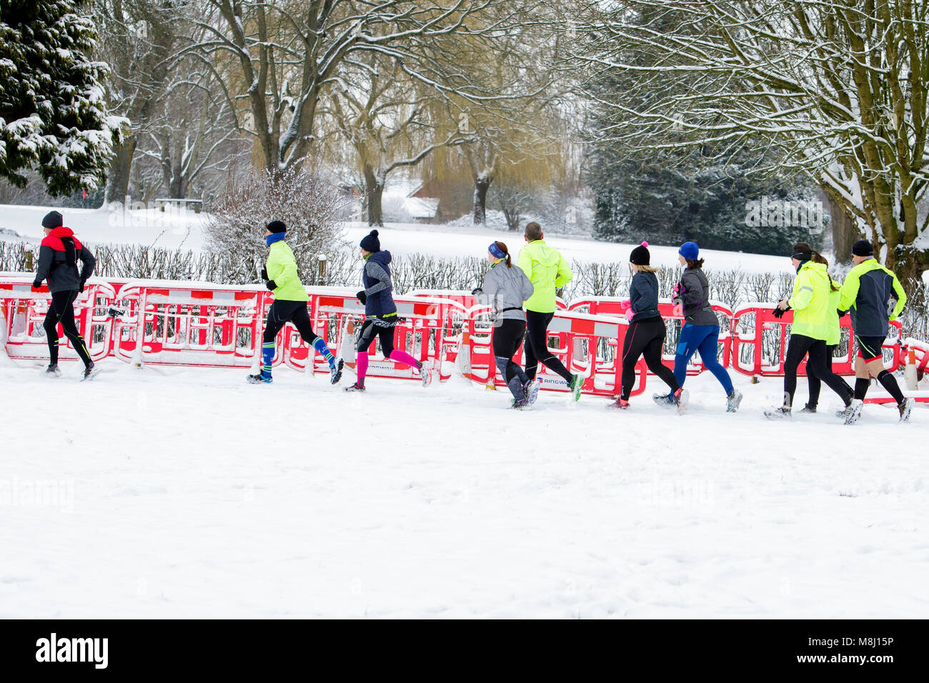 Chippenham, Regno Unito, 18 marzo, 2018. La neve non riesce a fermare un gruppo di corridori che godono di domenica mattina eseguito in Chippenham, Wiltshire. Credito: lynchpics/Alamy Live News Foto Stock