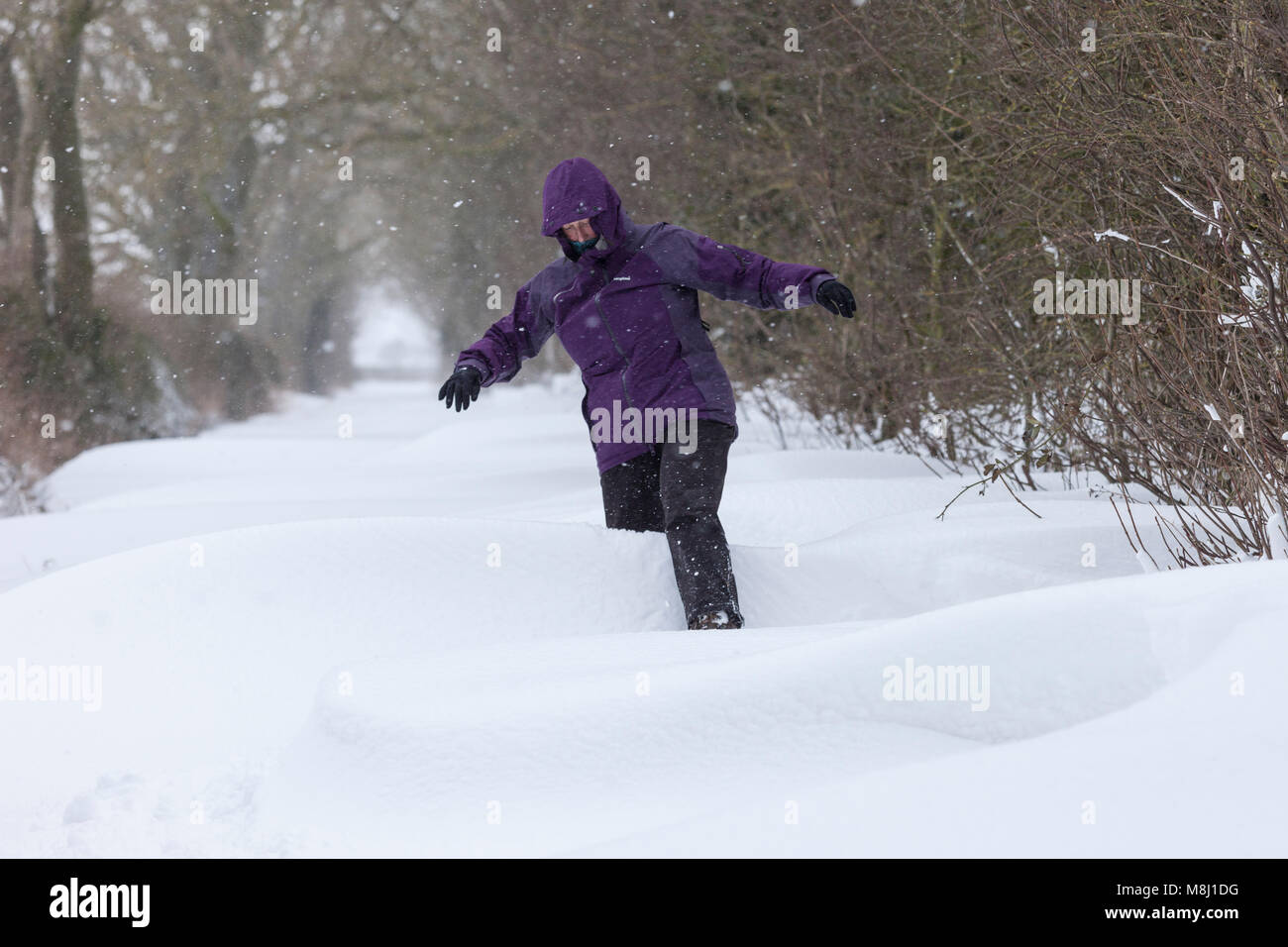 Barnard Castle, nella contea di Durham. Domenica 18 Marzo 2018. Regno Unito Meteo. Una donna battaglie attraverso la neve profonda e blizzard condizioni come la Bestia da est 2 morde duro nella Contea di Durham. David Forster/Alamy Live News Foto Stock