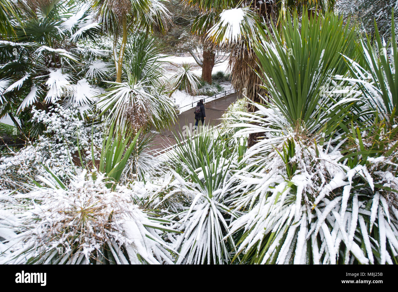 Bournemouth, Regno Unito, 18 marzo 2018. Walkers della neve che è caduta per tutta la notte nel centro di Bournemouth .Credit John Beasley/Alamy Live News Foto Stock