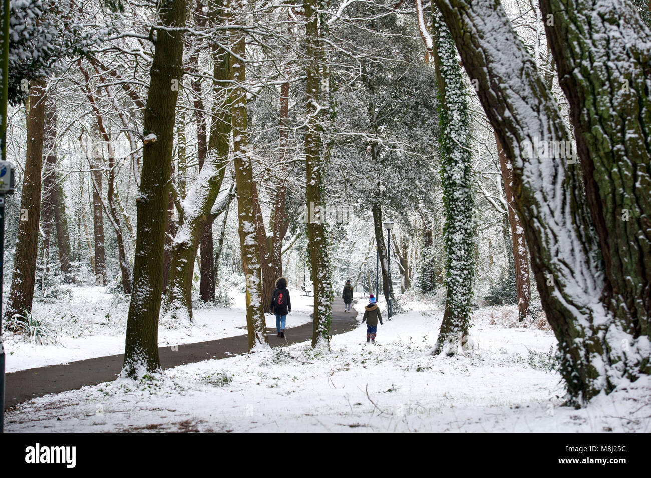 Bournemouth, Regno Unito, 18 marzo 2018. Walkers della neve che è caduta per tutta la notte a ferro di cavallo comune nel centro di Bournemouth .Credit John Beasley/Alamy Live News Foto Stock