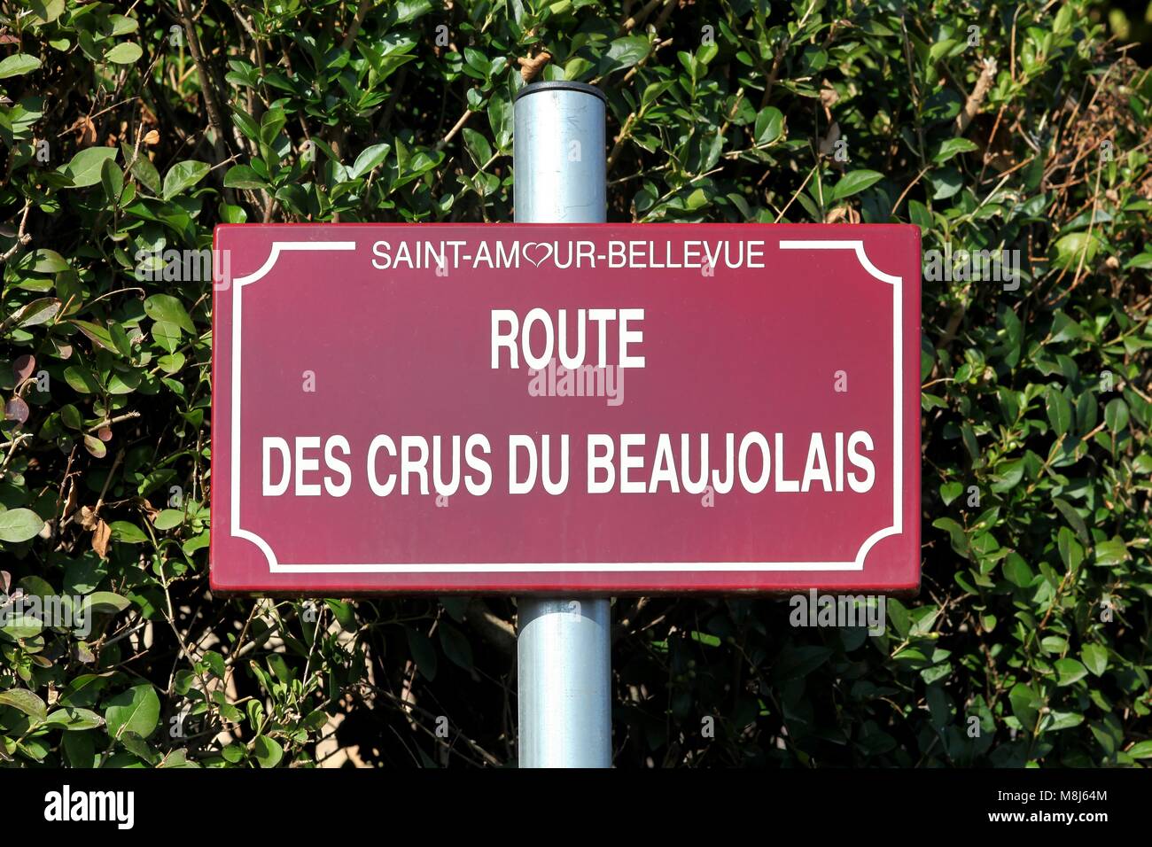 Strada del vino Beaujolais segno, Francia Foto Stock
