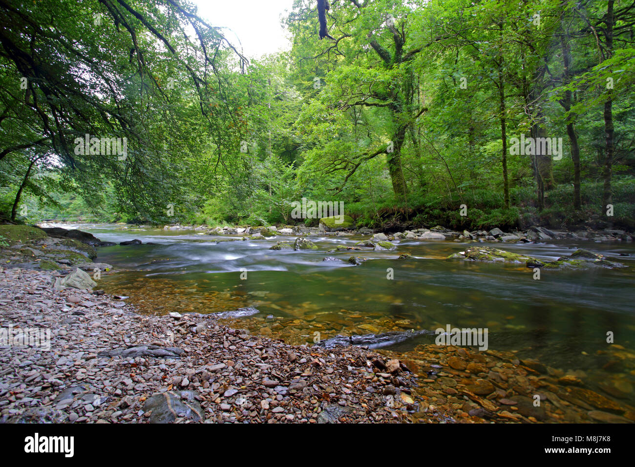 Il fiume Barle vicino Tarr passi clapper bridge nel Parco Nazionale di Exmoor, Somerset, Inghilterra Foto Stock