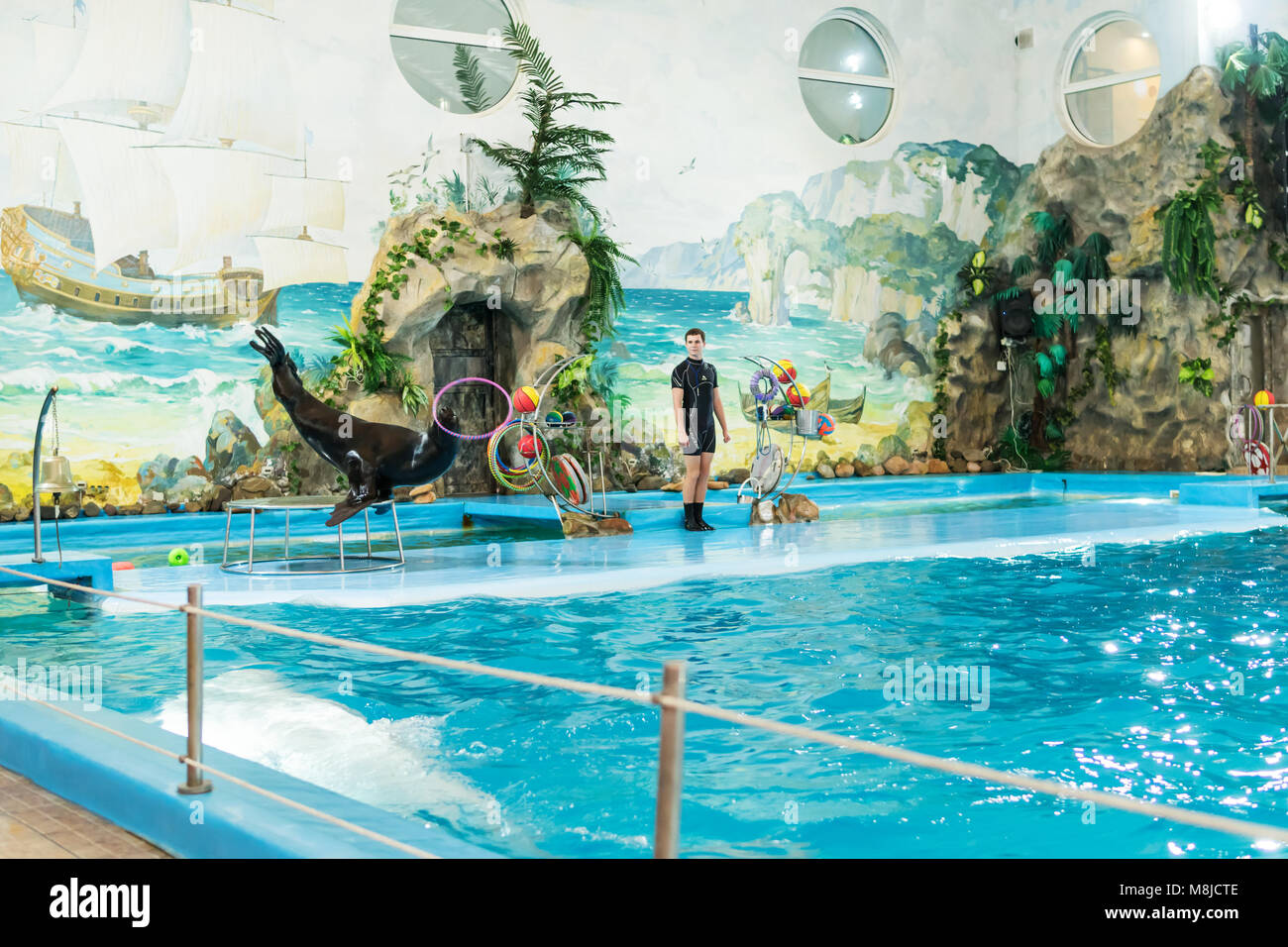 Kharkov, Ucraina - 18 Gennaio 2018: prestazioni del leone di mare. Presentazione in Kharkov delfinario con la partecipazione di un leone di mare twisti Foto Stock