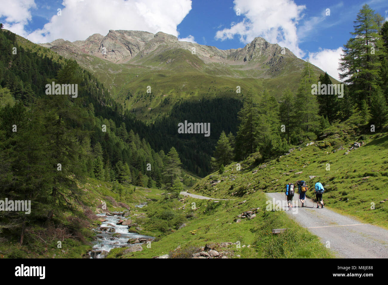 Gli alpinisti nelle Alpi dello Stubai, Austria Foto Stock