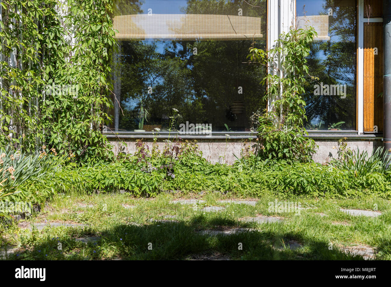 L'Aalto House è stato progettato da architetto finlandese Alvar Aalto. La casa in Munkkiniemi, Helsinki, è stato completato nel 1936 come casa e studio di Aalto. Foto Stock