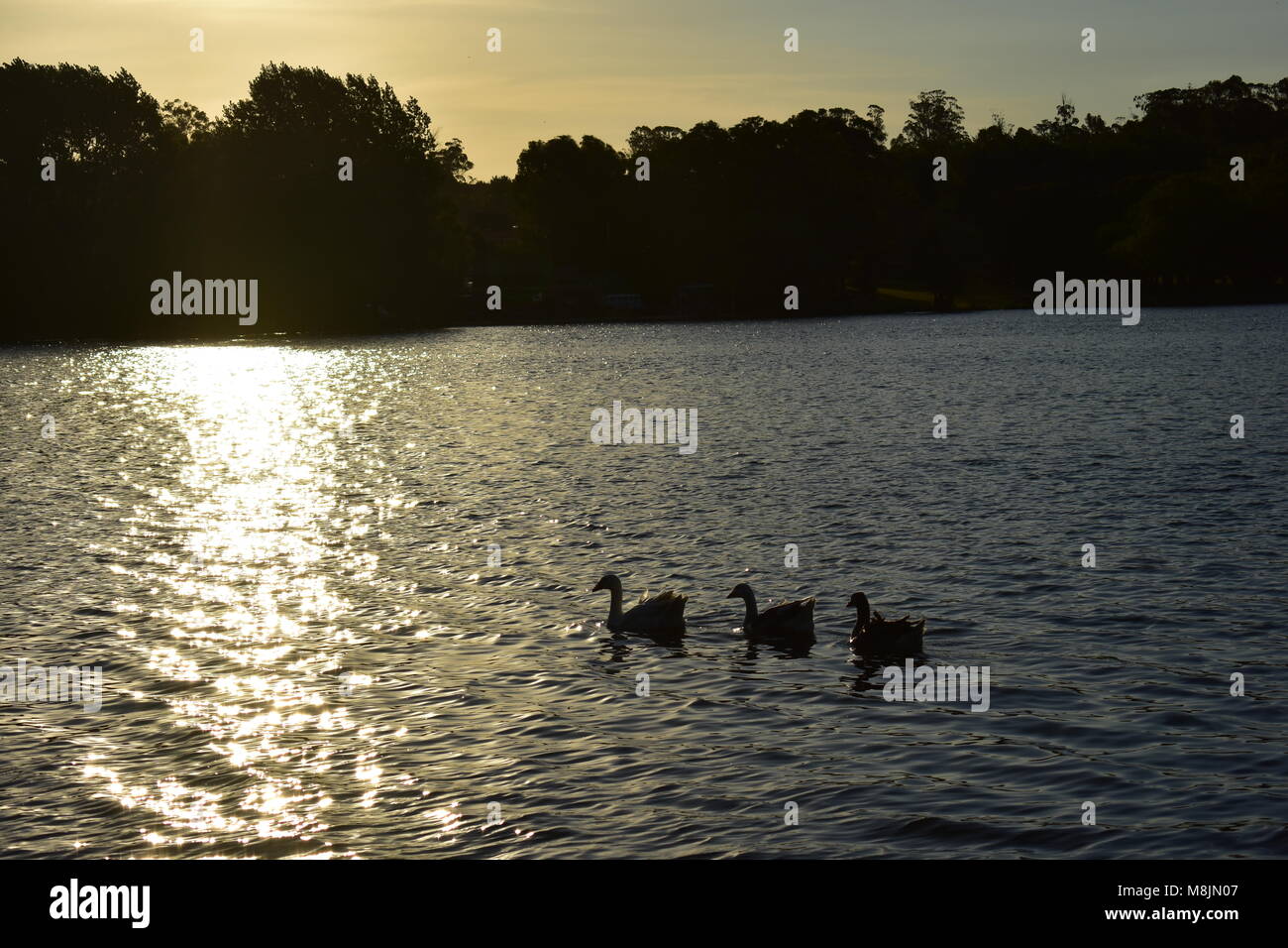 tramonto sul lago Foto Stock