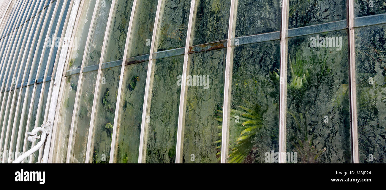 La condensa si raccoglie all'interno di Windows del famoso Palm House di Kew Royal Botanical Gardens Foto Stock