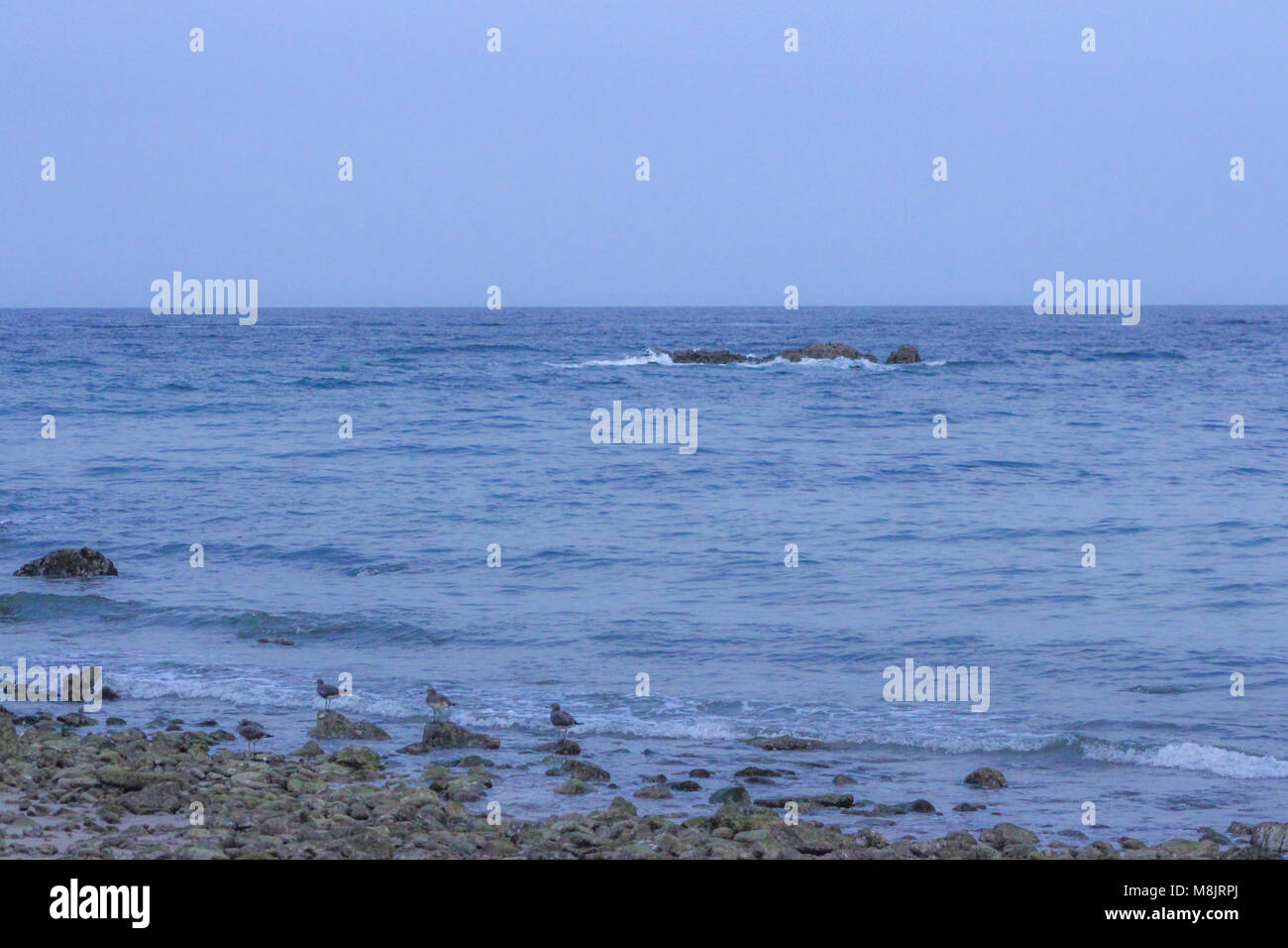 Aiguas Blanques Agua blanca Ibiza spiaggia con acque turchesi sulla sabbia di una spiaggia sul mare, onda morbida e solare di abbagliamento. Foto Stock