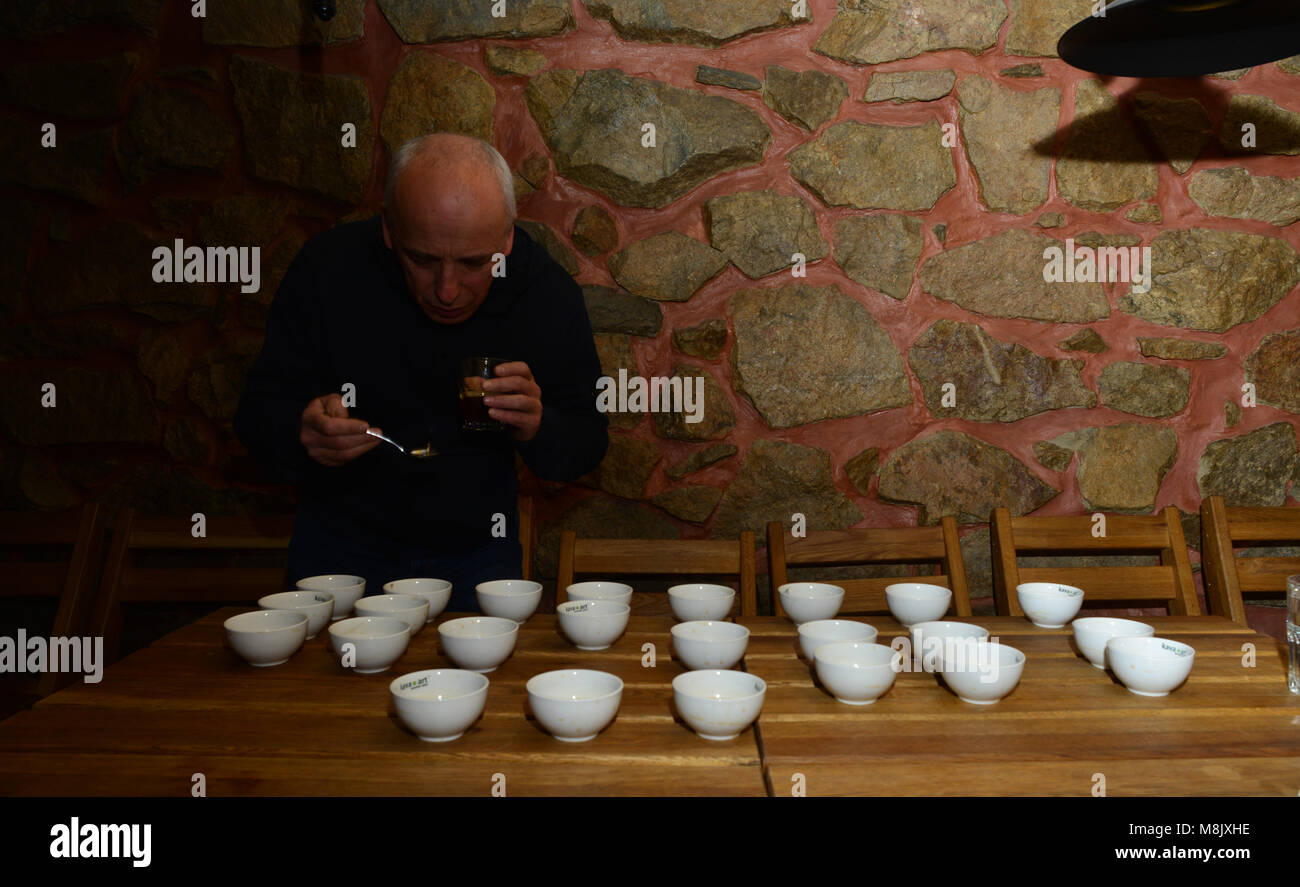 Caffè cuptasting - Concorrenza nel discernimento di caffè provenienti da origini diverse Foto Stock