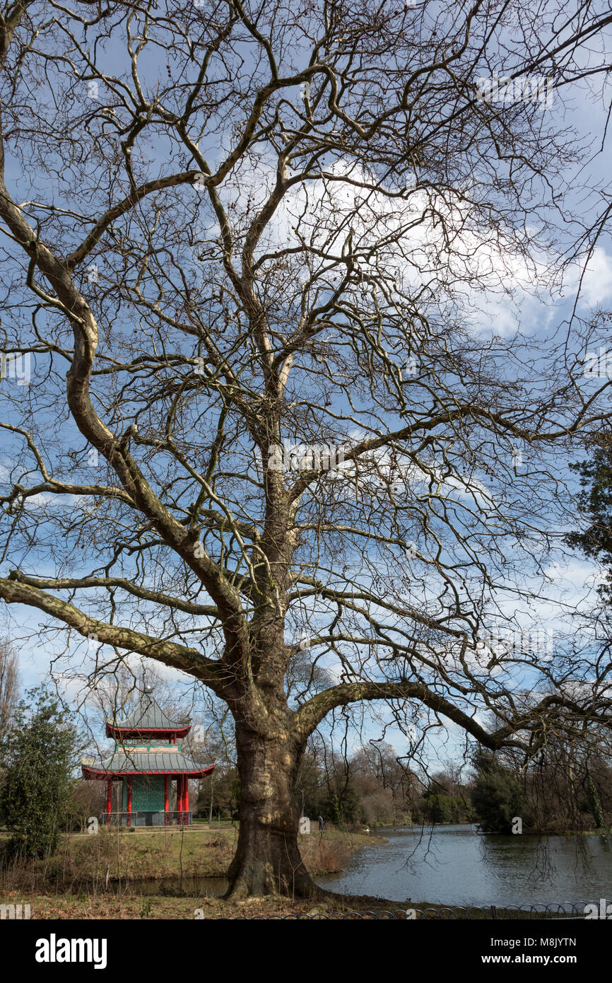 La pagoda cinese, Victoria Park, Hackney, Londra, Regno Unito Foto Stock