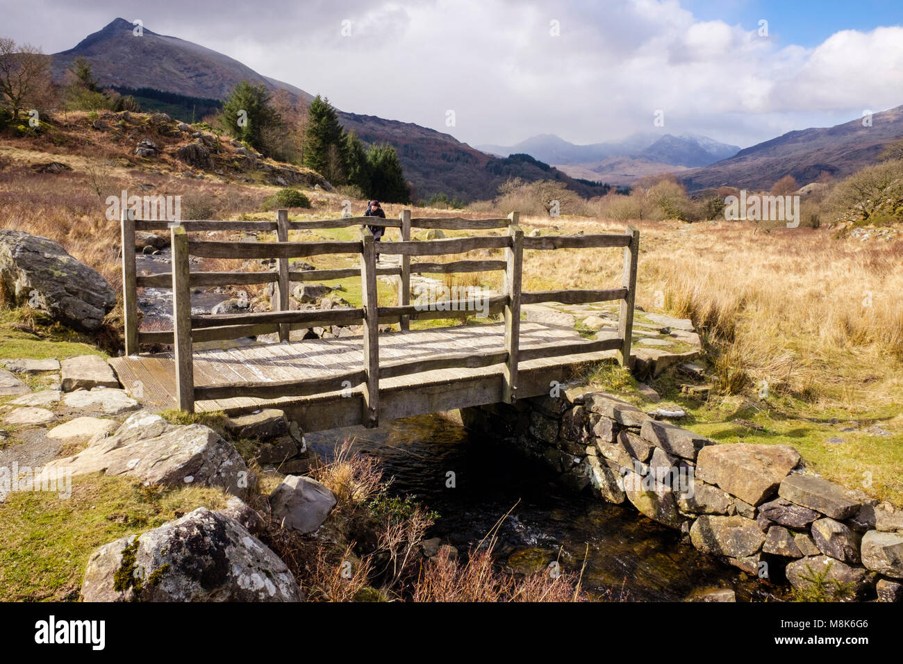 Passerella in legno che attraversa un ruscello su un sentiero pubblico nel Parco Nazionale di Snowdonia vicino a Capel Curig, contea di Conwy, Galles, Regno Unito, Gran Bretagna Foto Stock