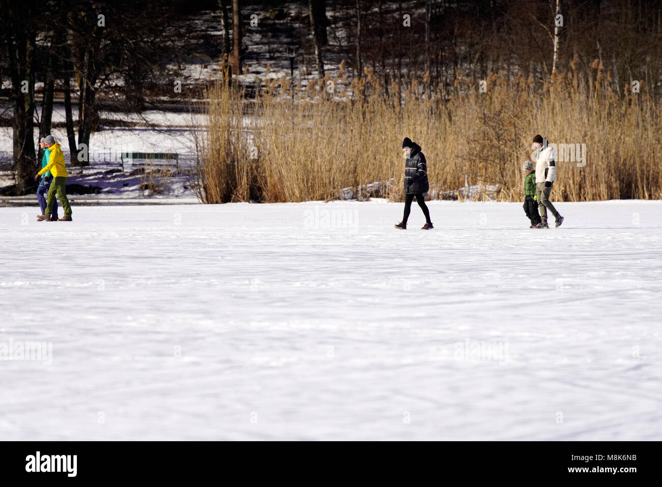 Divertimento invernale sul lago ghiacciato di Stoccolma, Svezia. Foto Stock