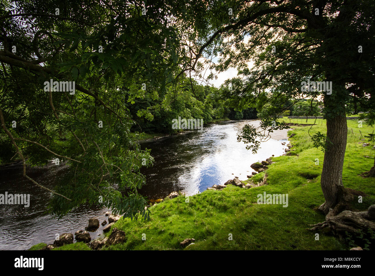 Lungo il fiume wharfe Foto Stock