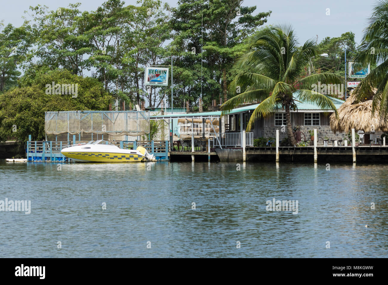 Birra Belikin segno esterno di una taverna sul fiume Belize. Belize Foto Stock