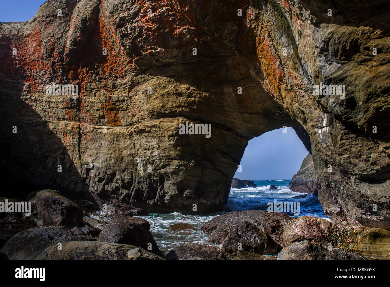 Devil's Conca è sulla costa dell'Oregon vicino a Otter Rock. Questa immagine viene da dentro la formazione rocciosa a bassa marea che mostra i colori dal rivestimento di alghe le rocce. Foto Stock