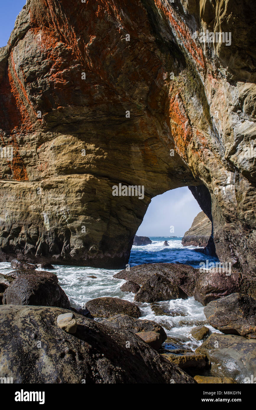 Devil's Conca è sulla costa dell'Oregon vicino a Otter Rock. Questa immagine viene da dentro la formazione rocciosa a bassa marea che mostra i colori dal rivestimento di alghe le rocce. Foto Stock