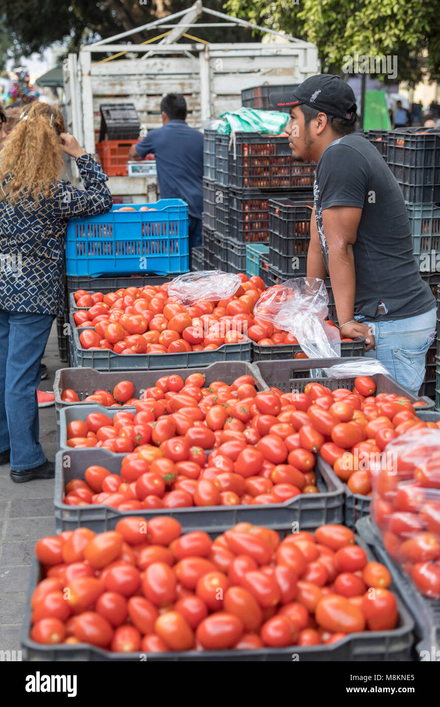 Oaxaca Oax., Messico - indipendente degli agricoltori di pomodoro vendere i pomodori nel zocalo (piazza centrale). Foto Stock Oaxaca Oax., Messico - indipendente degli agricoltori di pomodoro vendere i pomodori nel zocalo (piazza centrale). Foto Stock