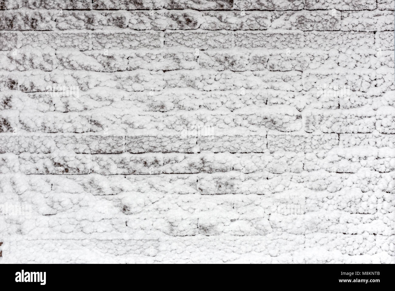 Muro di mattoni coperti di neve. Iced inverno texture di superficie. Copyspace per la collocazione di prodotti o di testo Foto Stock