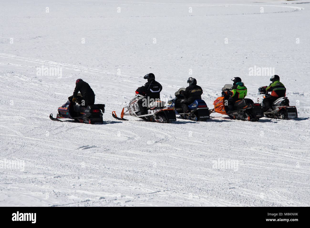 Cinque motoslitte parcheggiato sul Lago di piacevoli nelle Montagne Adirondack, sempre pronto a correre attraverso il lago con copia spazio. Foto Stock