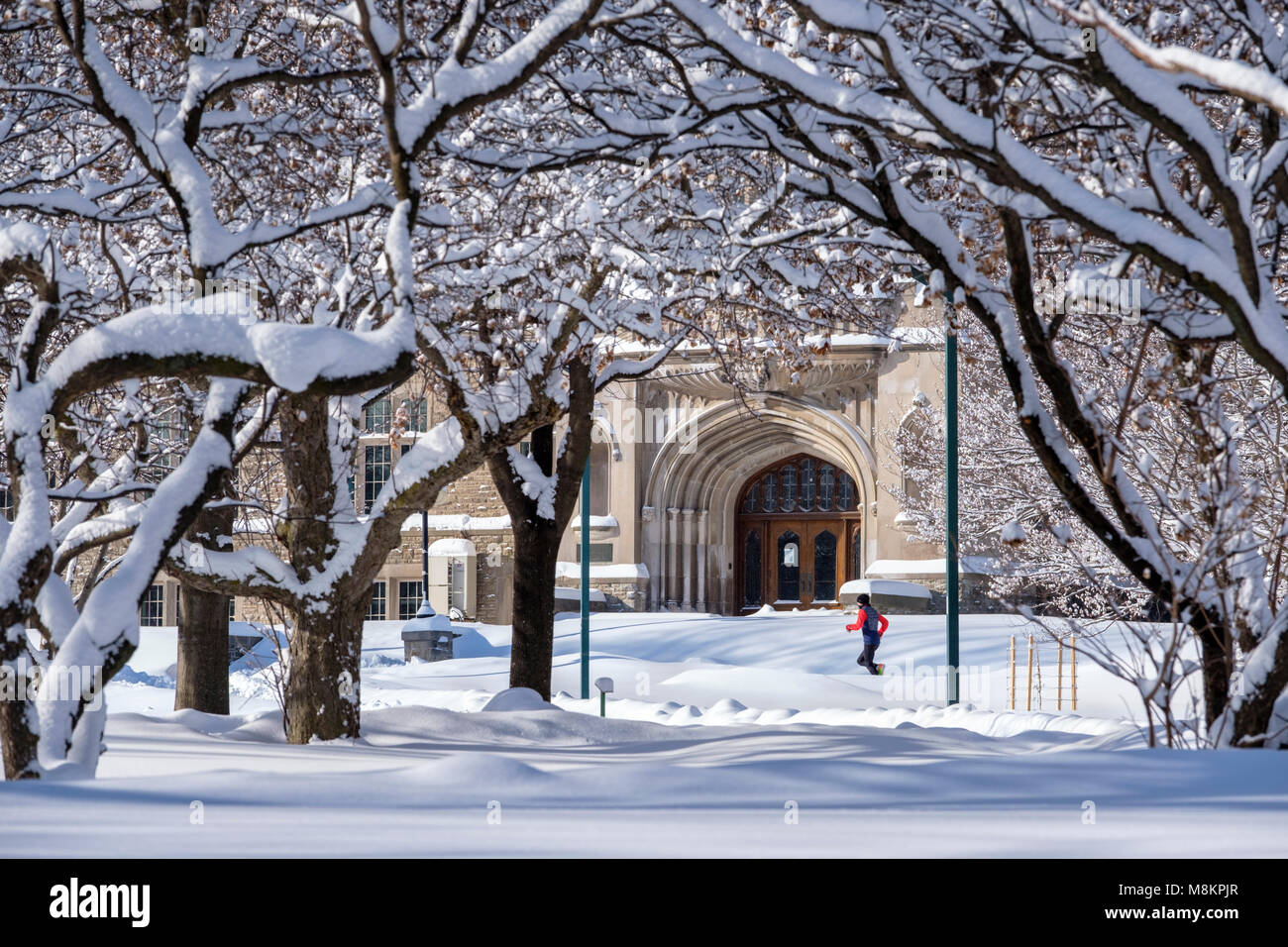Pareggiatore maschio in esecuzione passato lo sportello anteriore della University College di edificio all Università di Western Ontario dopo un pesante nevicata invernale, London, Ontario Foto Stock