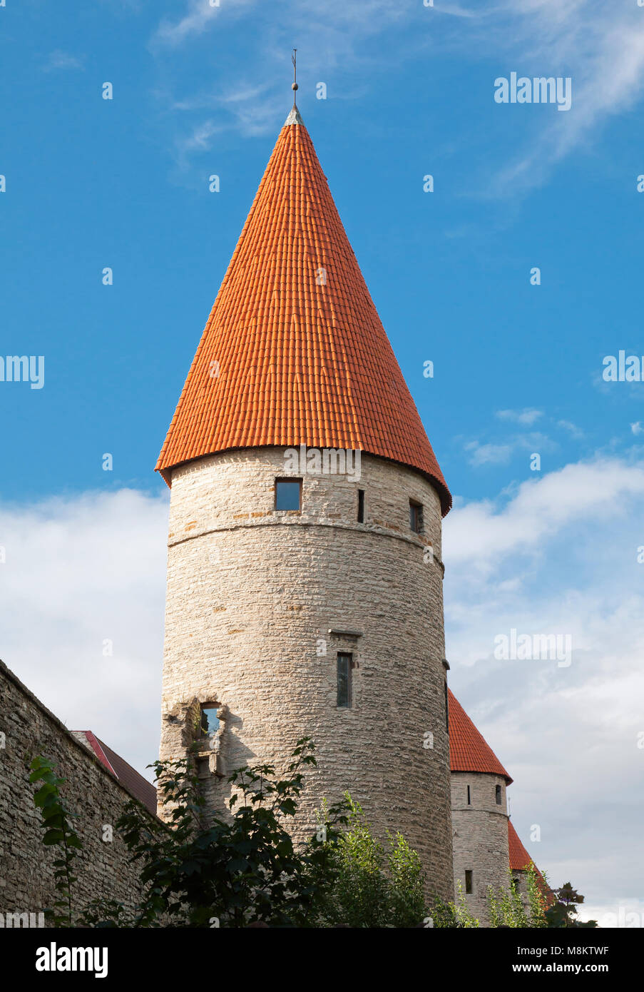 Torre medievale di Tallinn Foto Stock