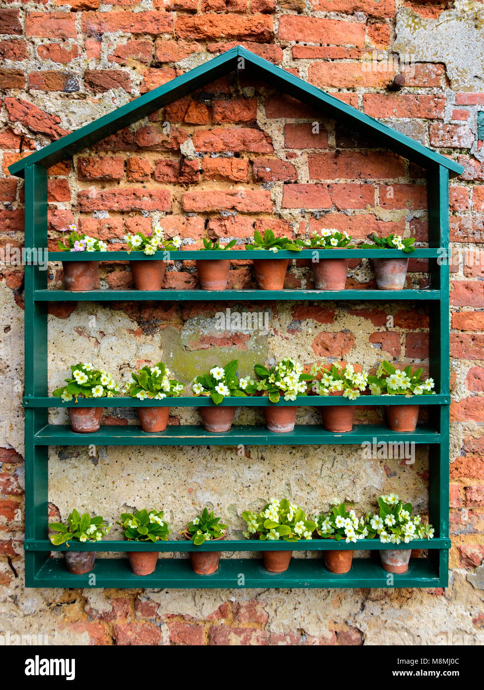 Un display di fioriere sui ripiani. Foto Stock