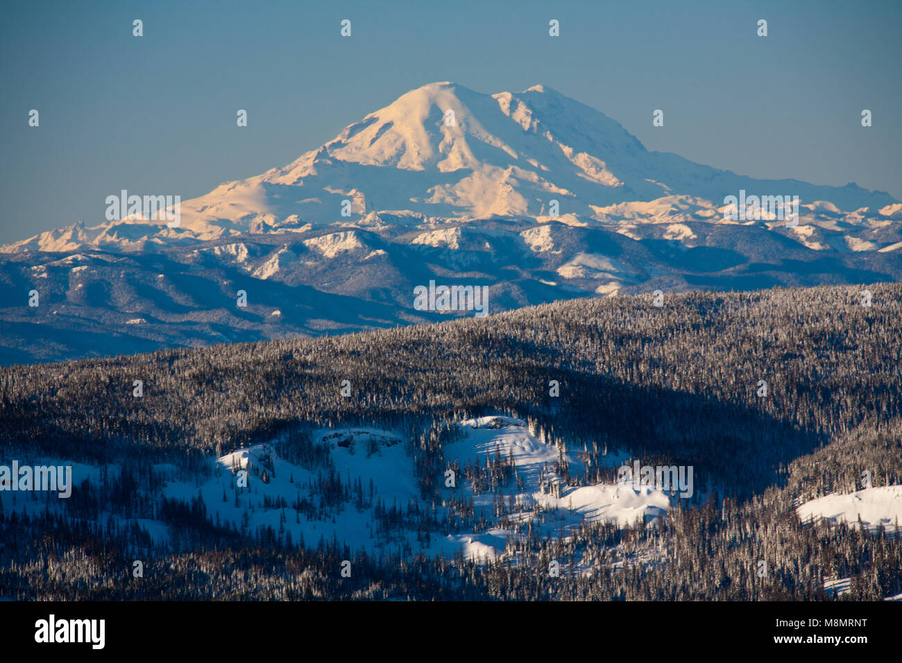Mt Rainier visto dalla cresta di missione circa 69 miglia a nordest durante l'inverno appare molto grandi a causa della relativamente bassa terre che circondano il picco. Foto Stock