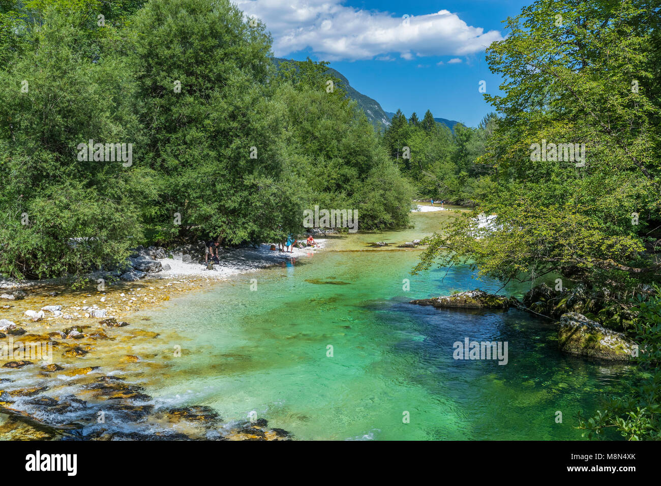 Savica fiume, lago di Bohinj, il Parco Nazionale del Triglav, Ukanc, Alta Carniola, Slovenia, Europa Foto Stock