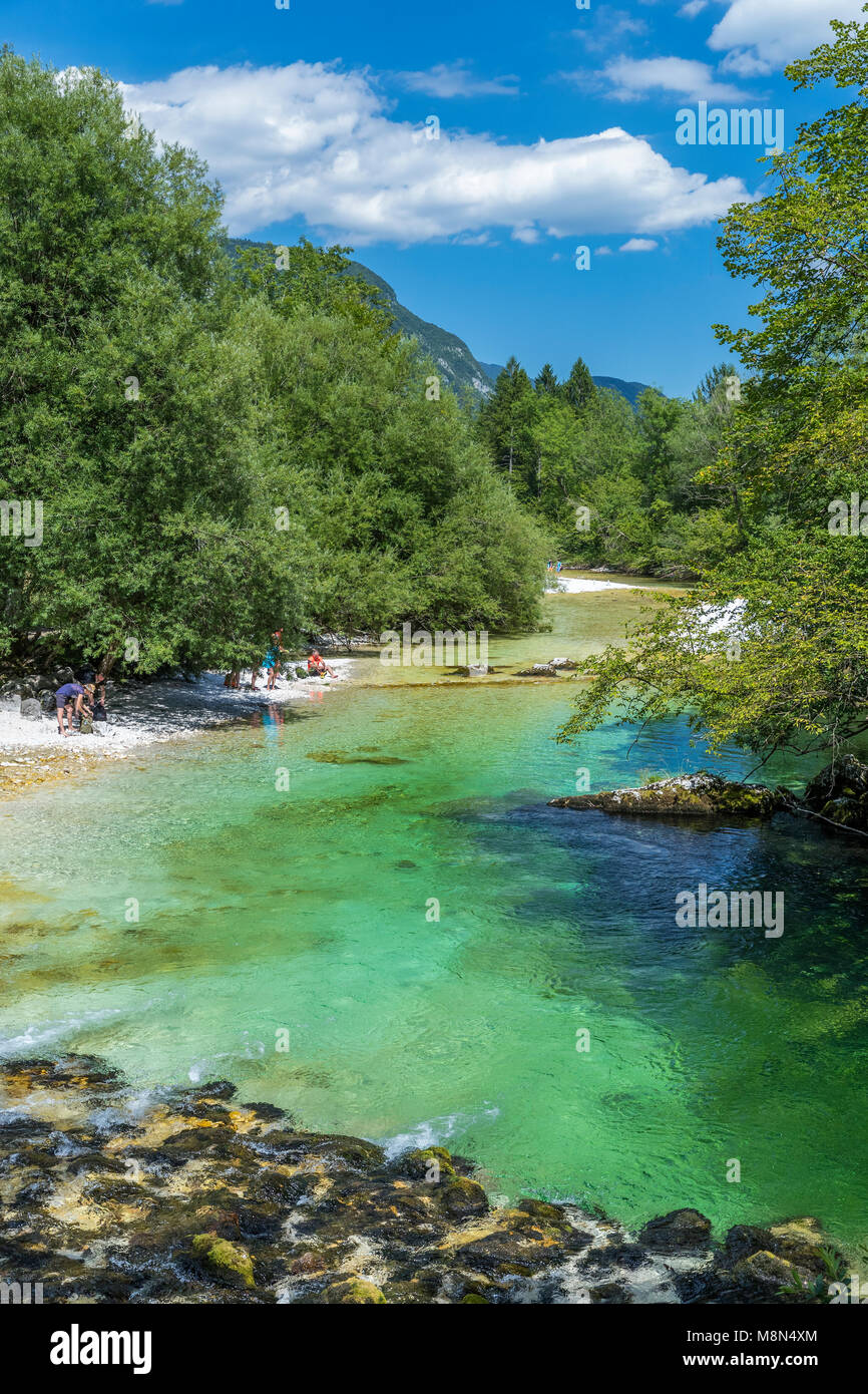 Savica fiume, lago di Bohinj, il Parco Nazionale del Triglav, Ukanc, Alta Carniola, Slovenia, Europa Foto Stock