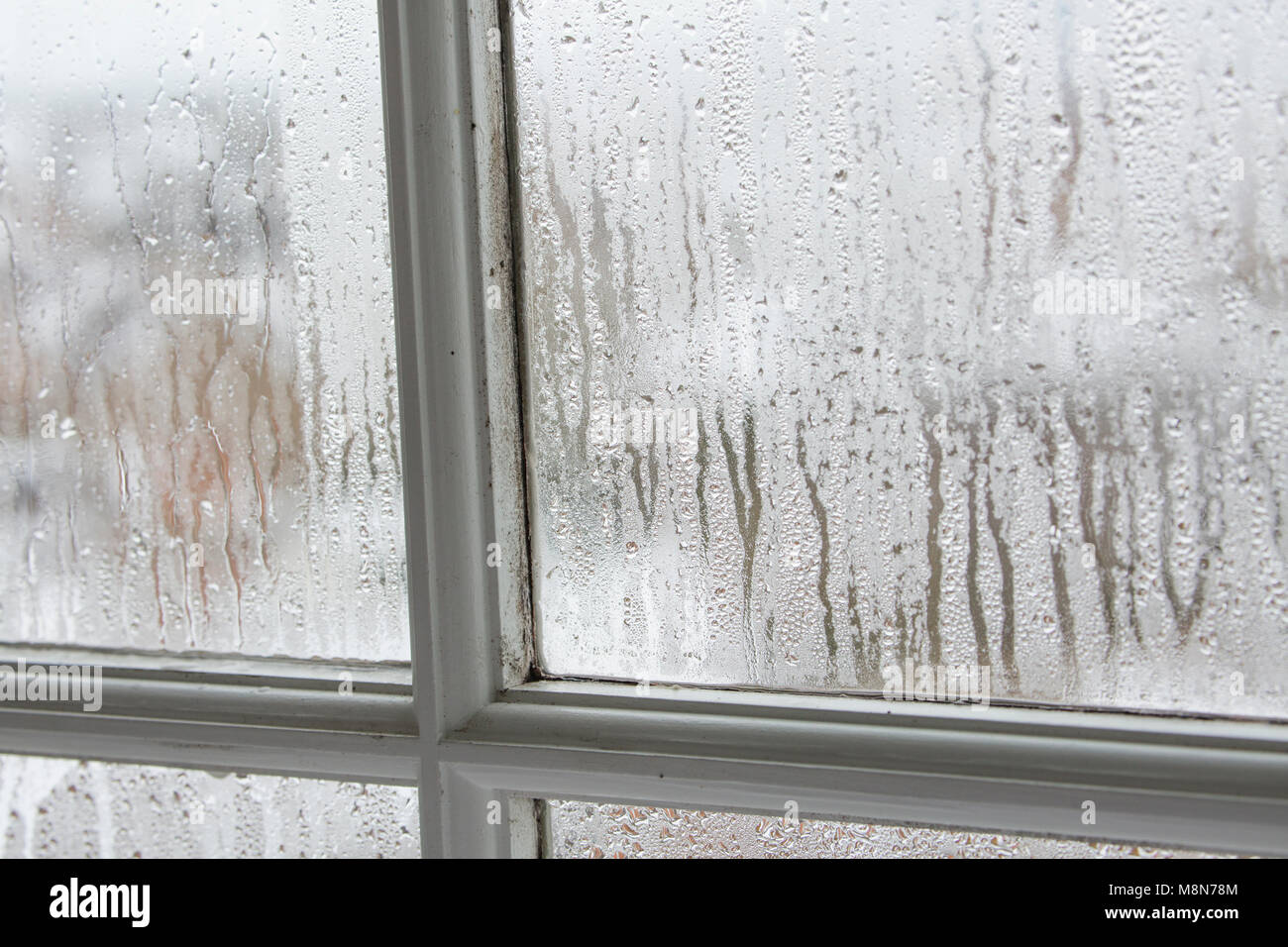 La formazione di condensa su un unico pannello in legno finestre a ghigliottina durante la stagione fredda, DORSET REGNO UNITO Foto Stock