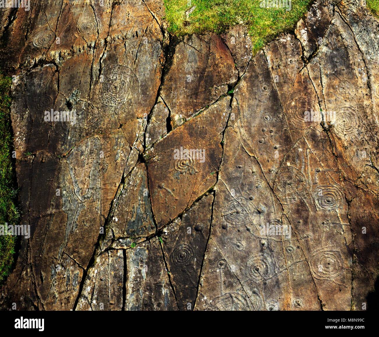 Coppa di epoca preistorica e tacca di pietra scolpita arte rock affioramento a Achnabreck, Kilmartin Valley, Argyll, Scozia occidentale, REGNO UNITO Foto Stock