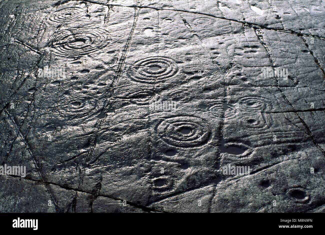 Cup e anello di marchi marchio neolitico preistoriche rupestri su roccia naturale affioramento a Achnabreck in Kilmartin Valley, Argyll, Scotland, Regno Unito Foto Stock